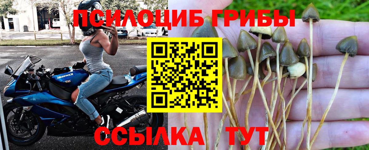 Псилоцибиновые грибы MAGIC MUSHROOMS Бор